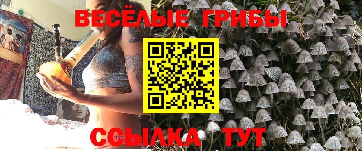 Галлюциногенные грибы прущие грибы Омск